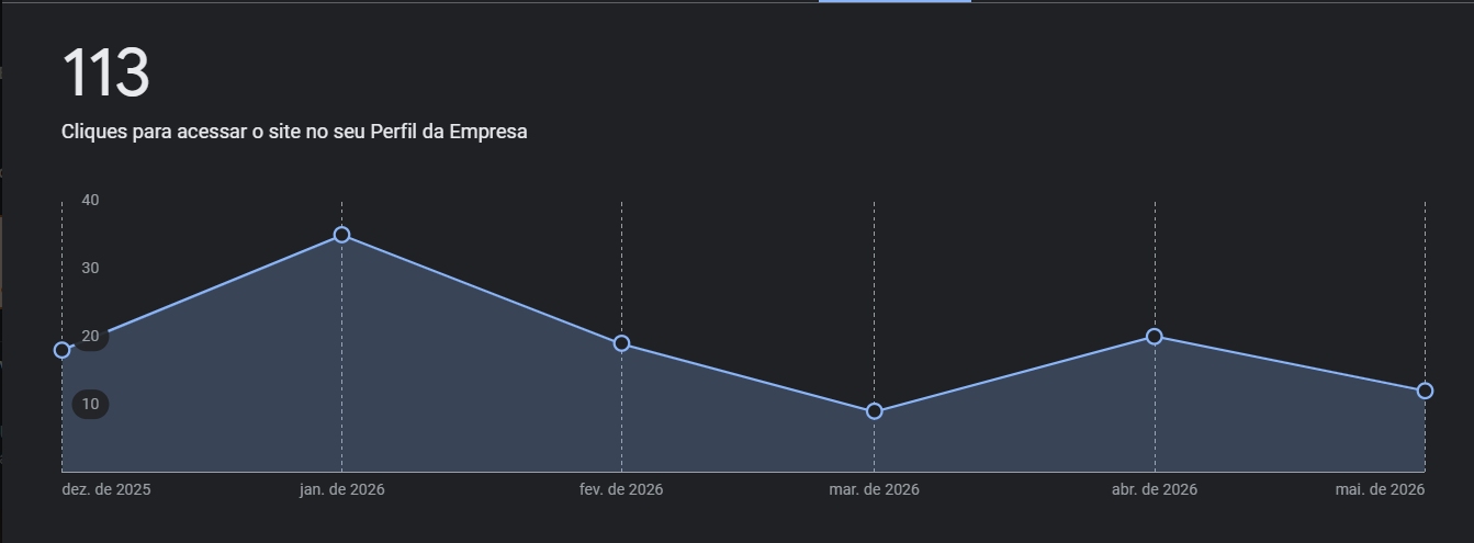 Gráfico de 113 cliques para o site no Perfil da Empresa